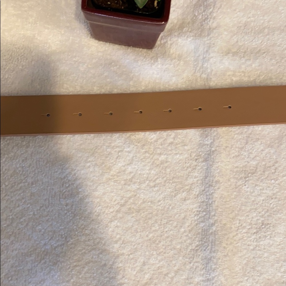 Light Brown (Taupe) Bling V Belt - Picture 5 of 7